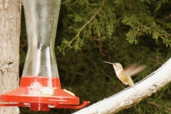 PICT2750.JPG – Version 2