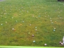 Easter Egg Hunt 2018