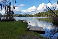 RonLassen01