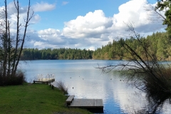 RonLassen02