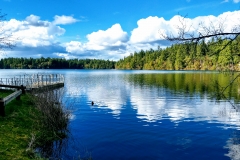 RonLassen03