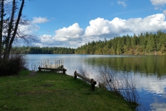 RonLassen04