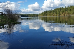 RonLassen05