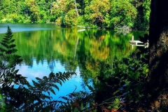 TifaniPetersonClearLake