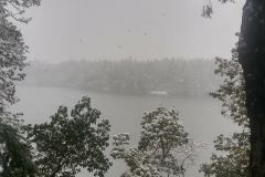 AutumnSalamone01