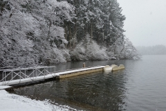 RonLassen06