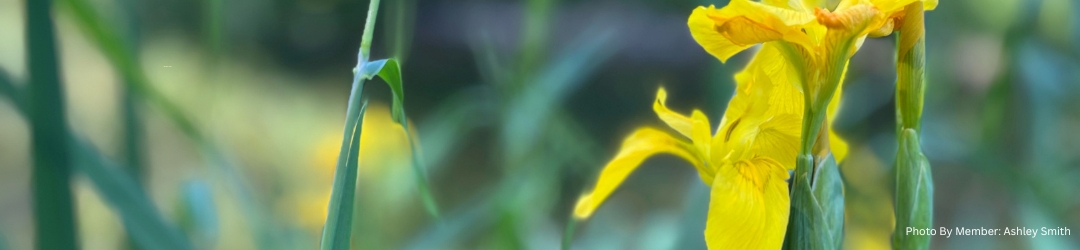 Clearwood Community Association